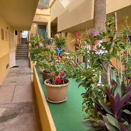 Apartment Mareverde Ocean